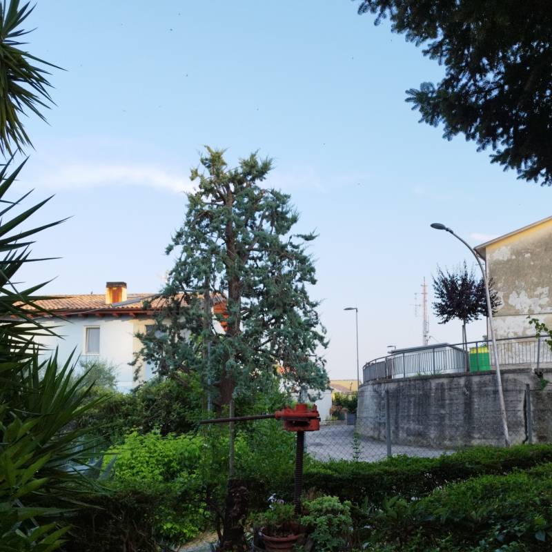 Fotosegnalazione di Cellino attanasio