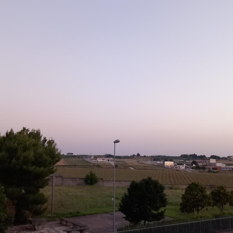 Fotosegnalazione di Gravina in puglia