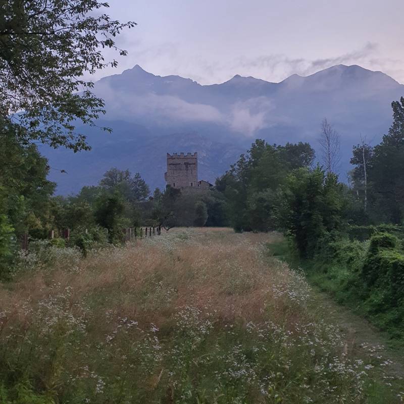 Fotosegnalazione di Mattie