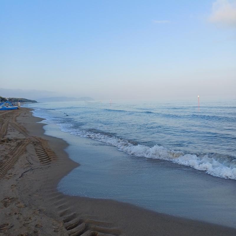 Fotosegnalazione di San vincenzo