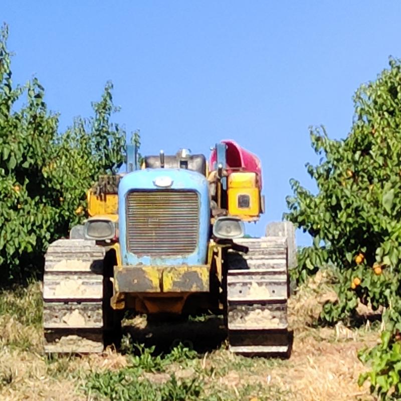 Fotosegnalazione di Brisighella
