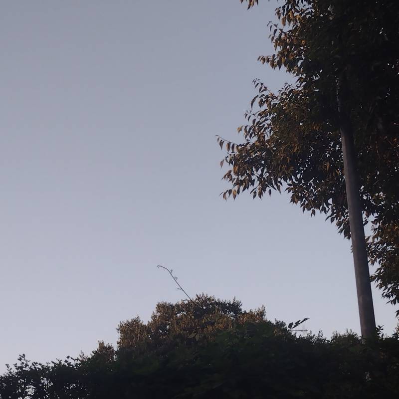 Fotosegnalazione di Sant'elena