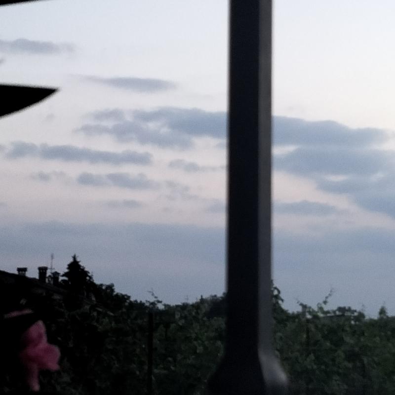 Fotosegnalazione di Gorizia lucinco