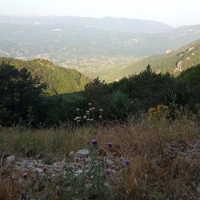 Fotosegnalazione di Subiaco
