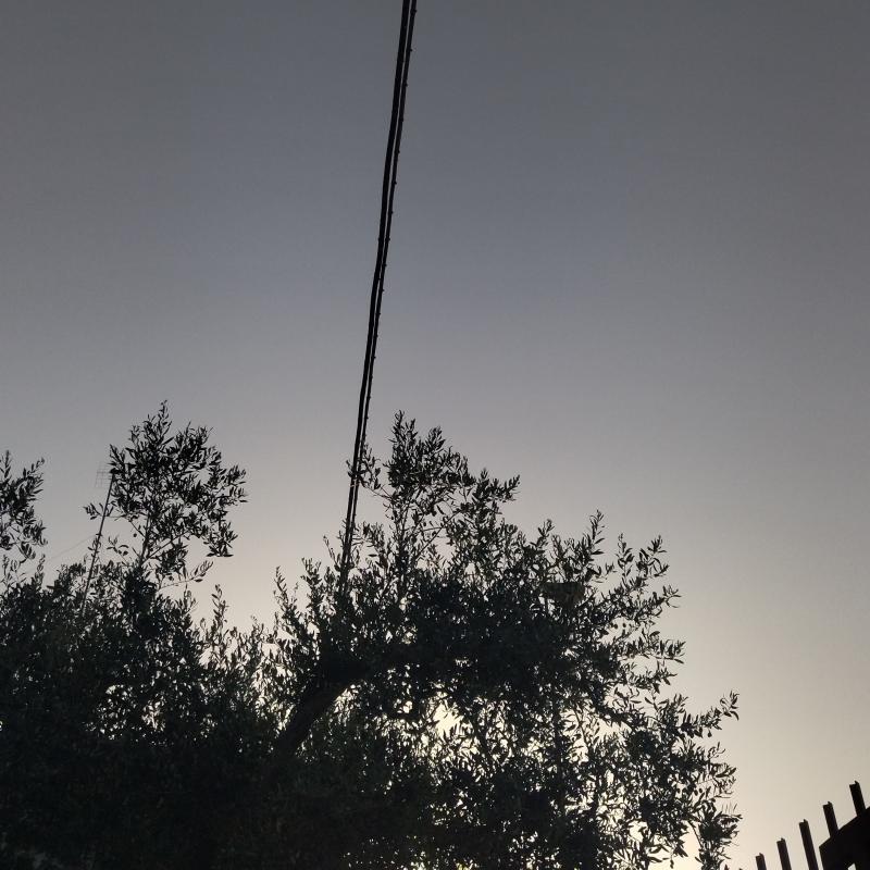 Fotosegnalazione di Foggia centro urbano