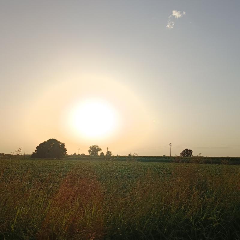 Fotosegnalazione di Gambarana