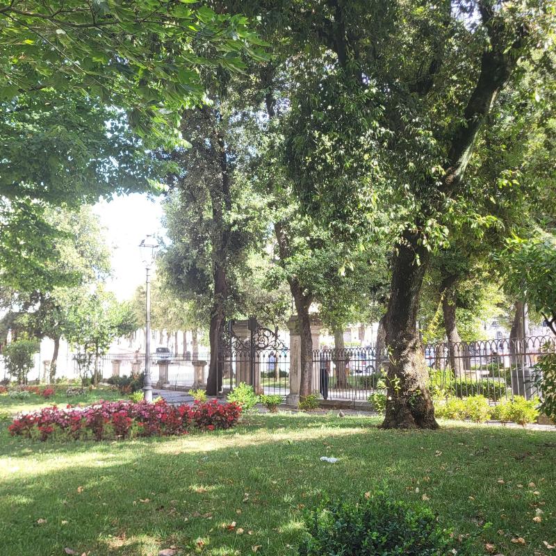 Fotosegnalazione di Martina franca