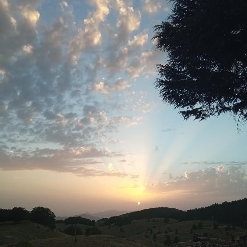 Fotosegnalazione di Campaegli