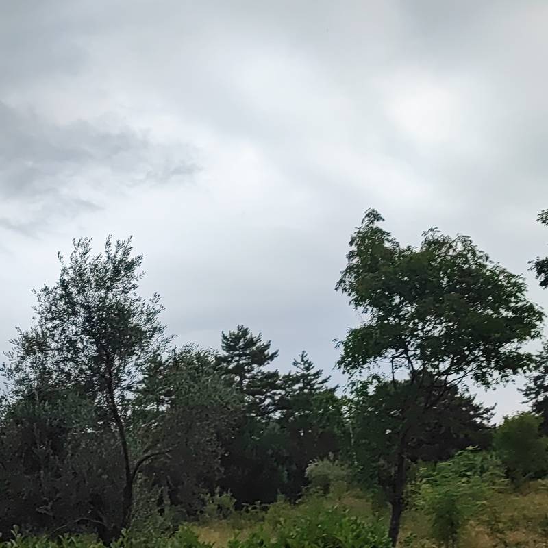 Fotosegnalazione di Umago