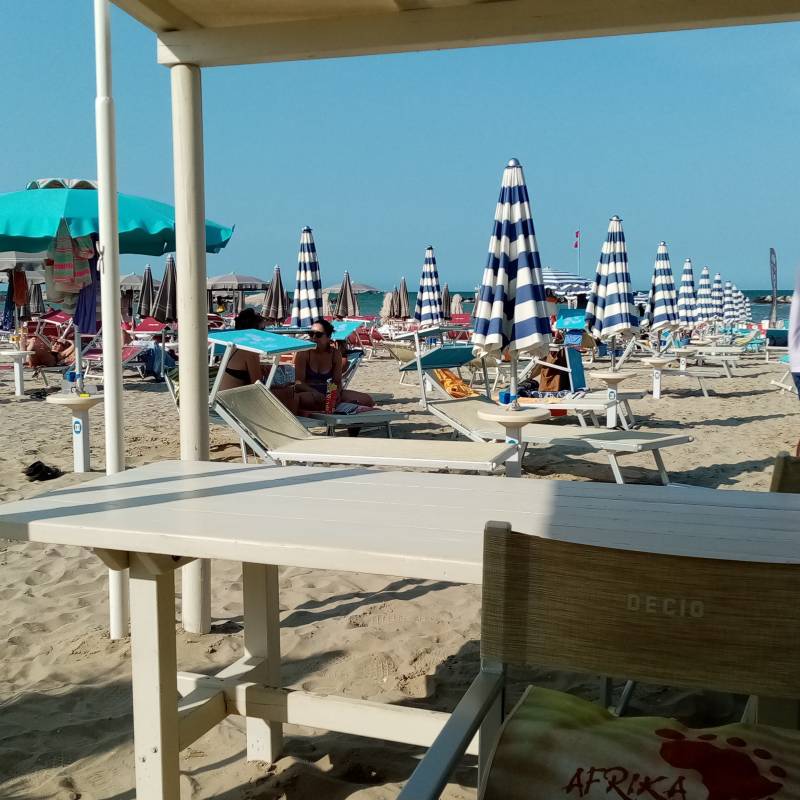 Fotosegnalazione di Bellaria igea marina