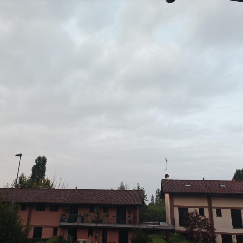 Fotosegnalazione di Pavia centro urbano