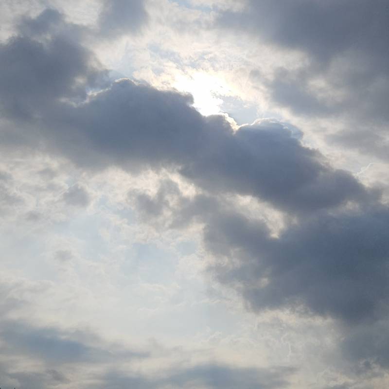 Fotosegnalazione di Mezzolombardo