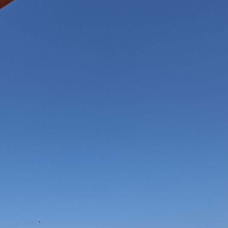 Fotosegnalazione di Rodi garganico