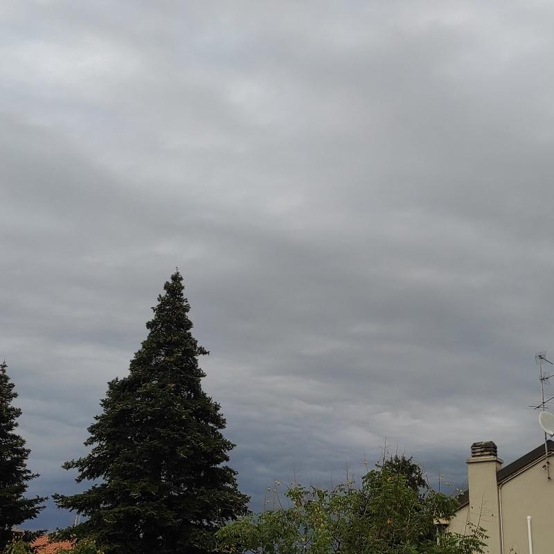Fotosegnalazione di Albiate