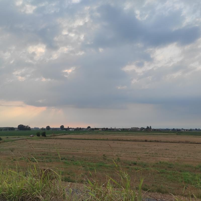Fotosegnalazione di Zerbo