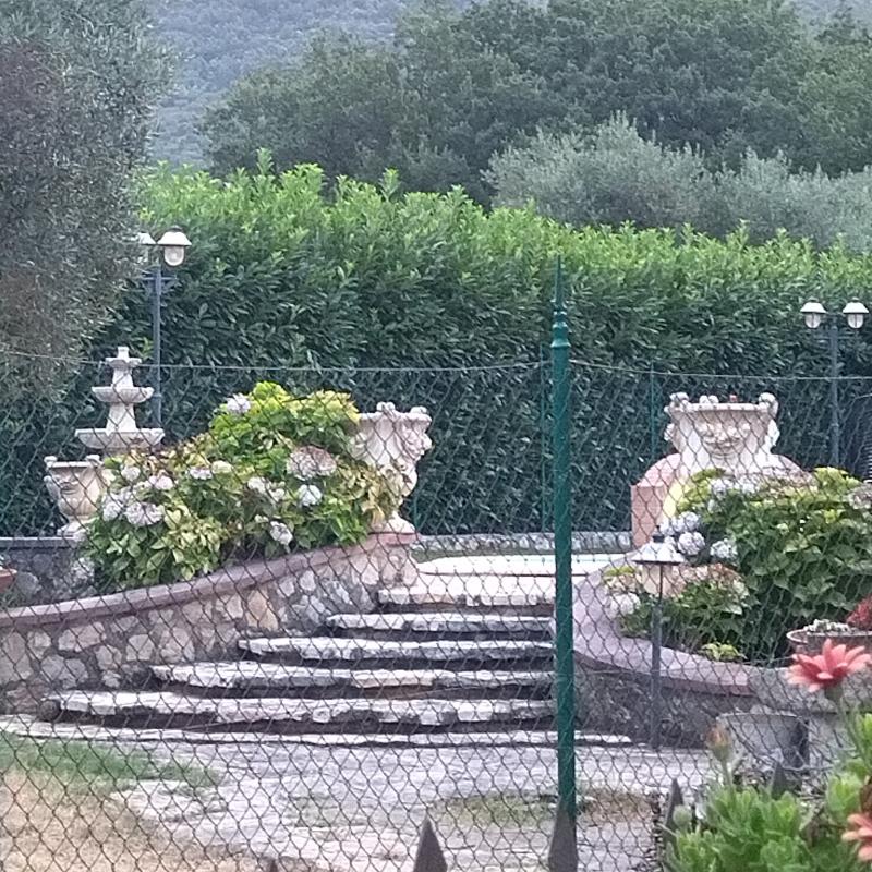 Fotosegnalazione di Giuliano di roma