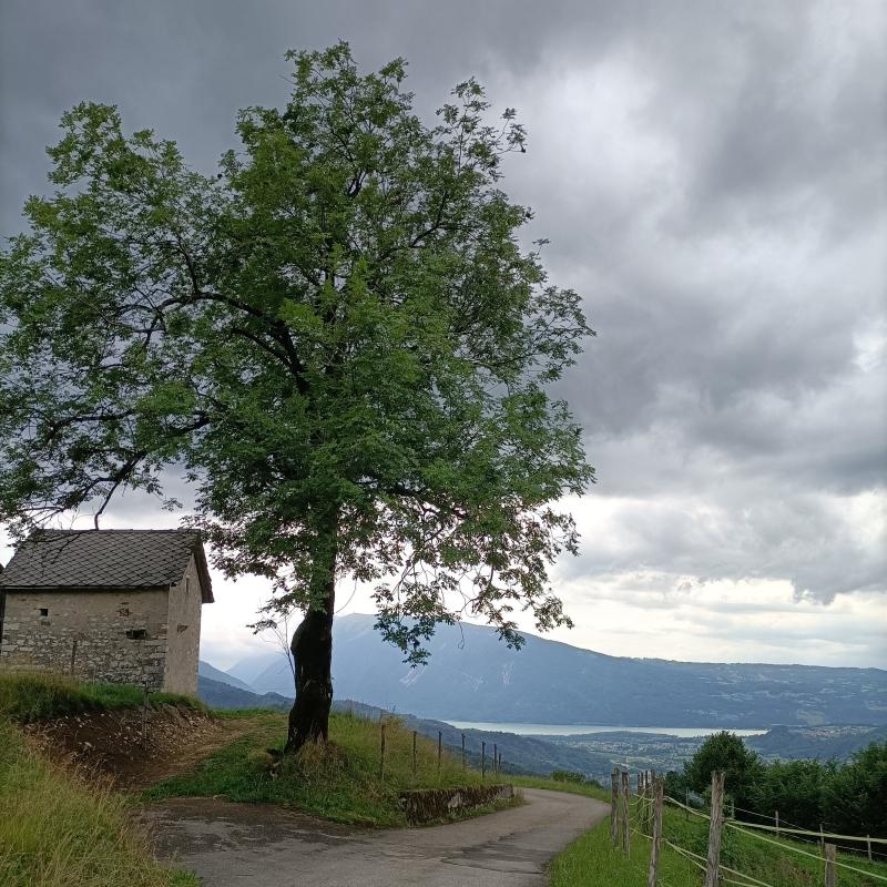 Fotosegnalazione di Chies d'alpago