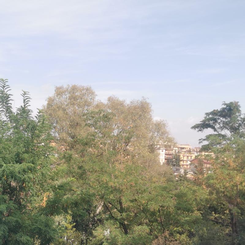Fotosegnalazione di Roma primavalle