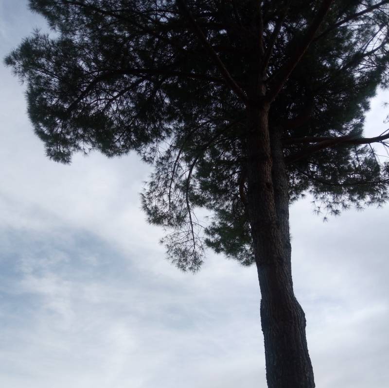 Fotosegnalazione di Castiglione d'orcia