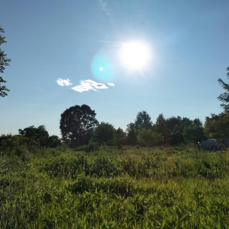 Fotosegnalazione di Lomagna