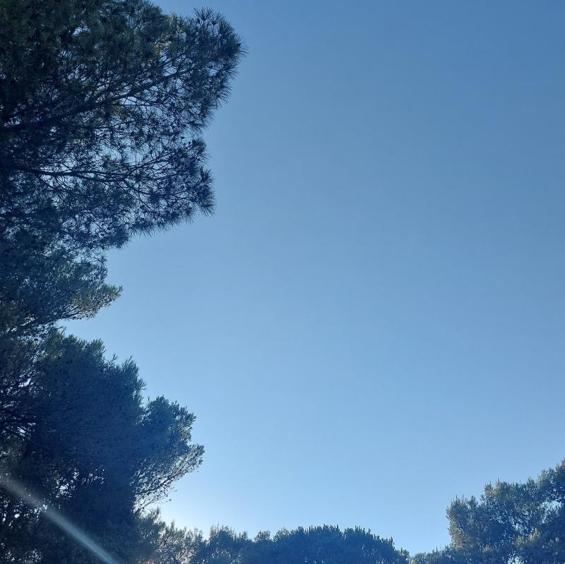 Fotosegnalazione di Martina franca