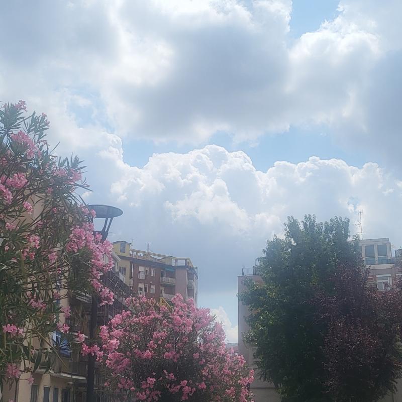 Fotosegnalazione di Sesto san giovanni