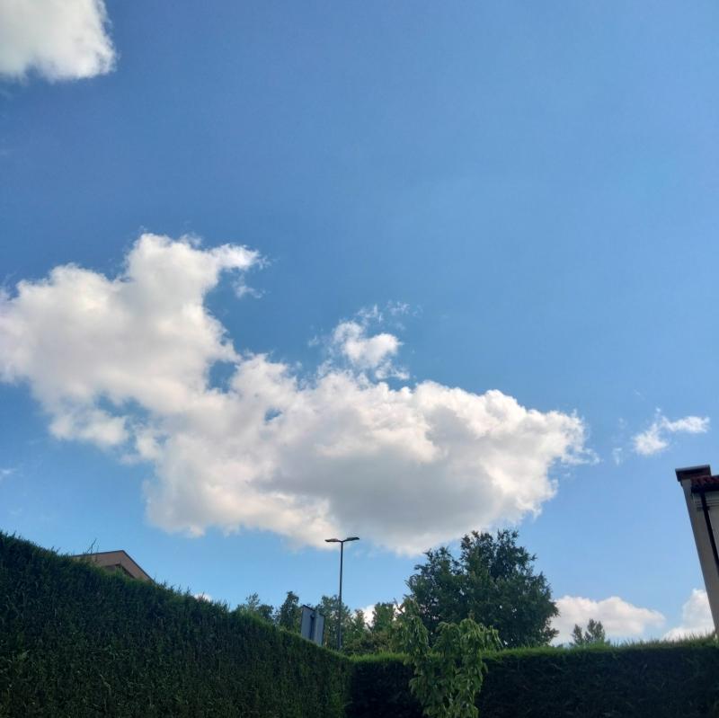 Fotosegnalazione di Martellago