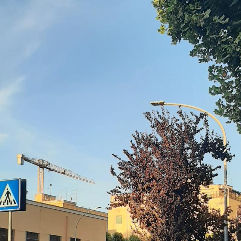 Fotosegnalazione di Roma tiburtino