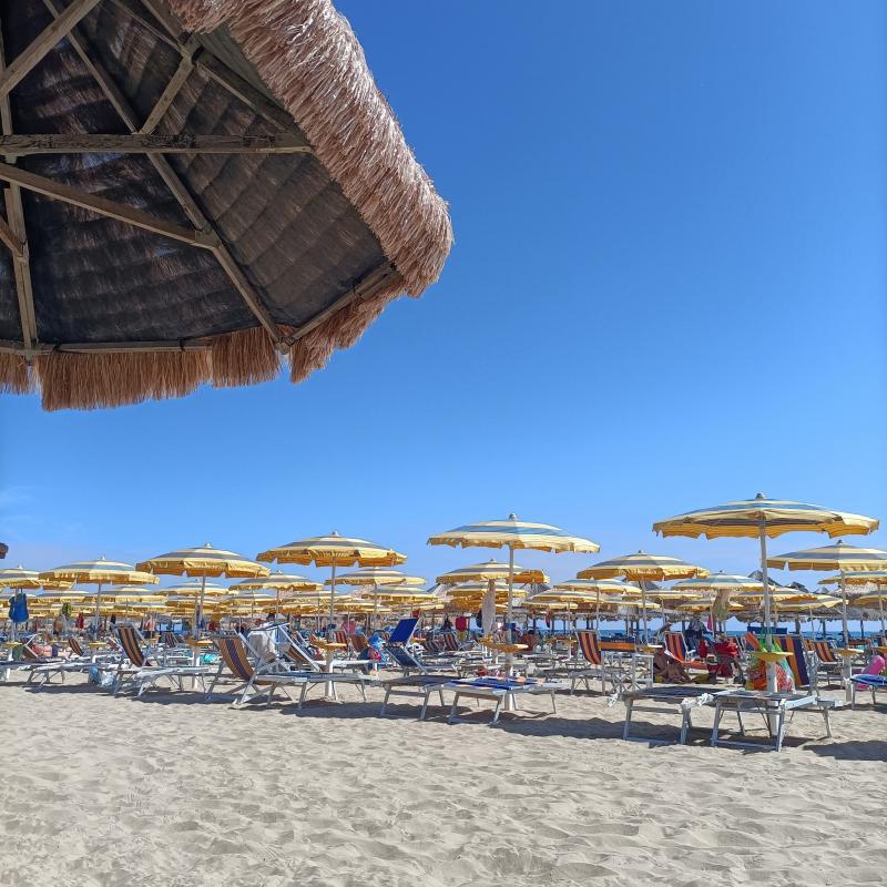 Fotosegnalazione di Santa filomena