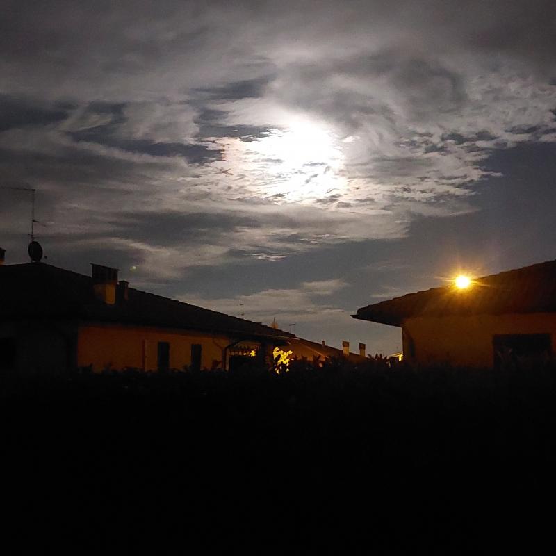 Fotosegnalazione di Dorno
