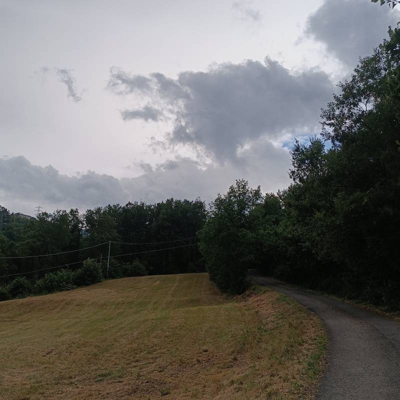 Fotosegnalazione di Montefiorino