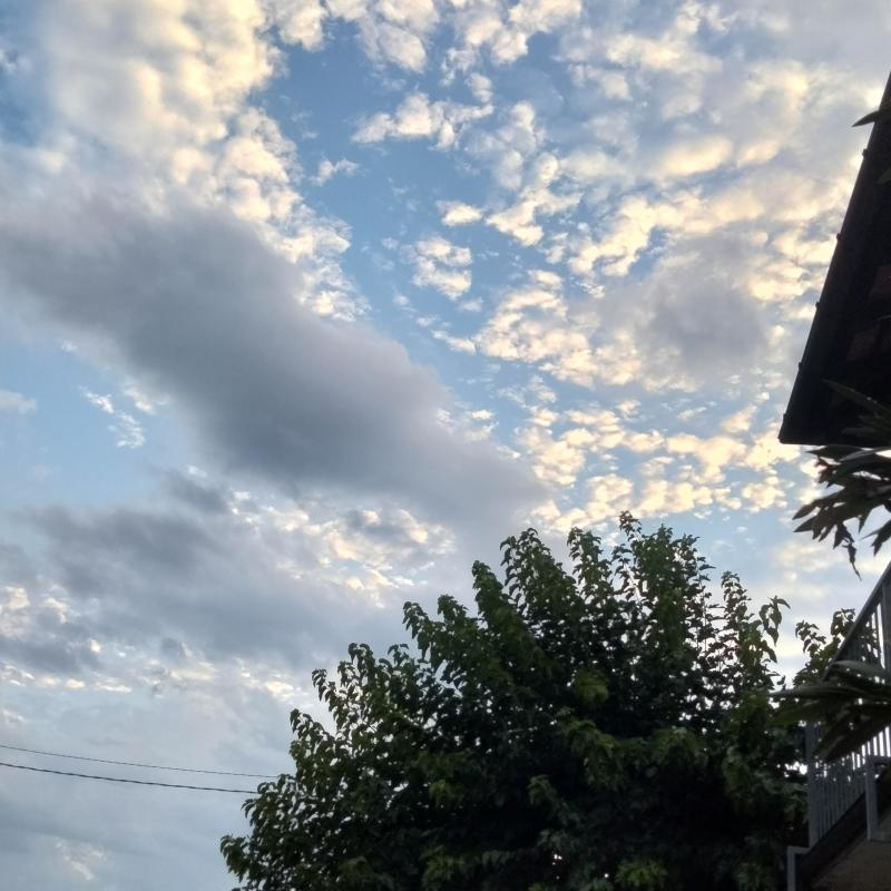 Fotosegnalazione di Gorizia lucinco