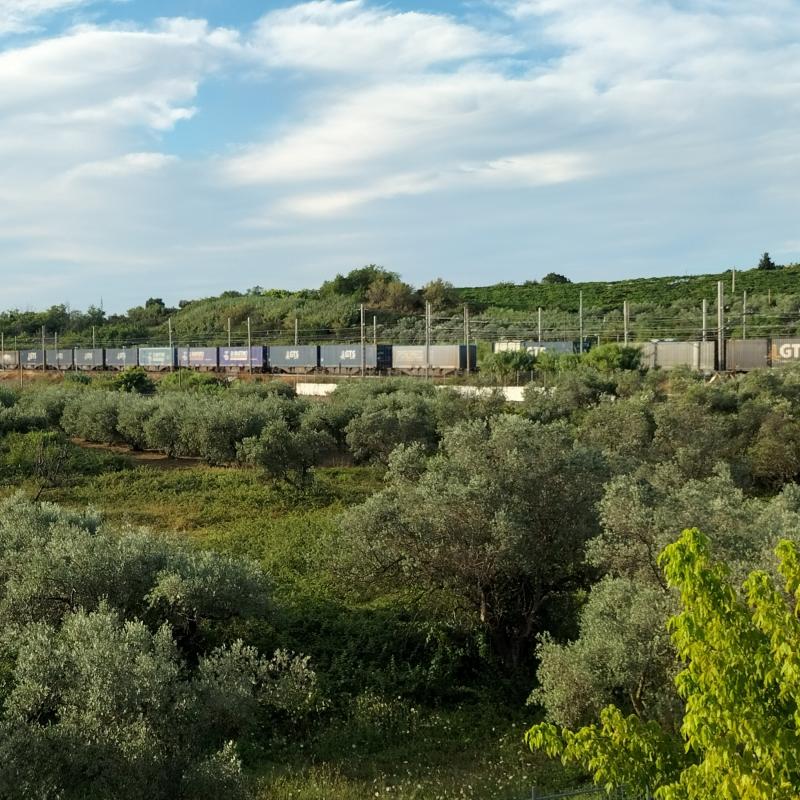 Fotosegnalazione di Vasto