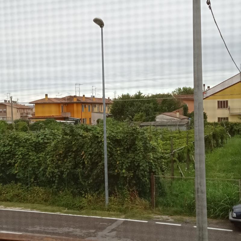 Fotosegnalazione di Trecenta