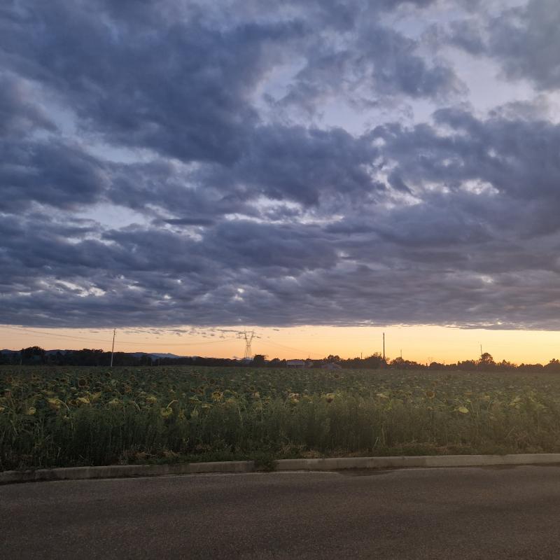 Fotosegnalazione di San cesario sul panaro