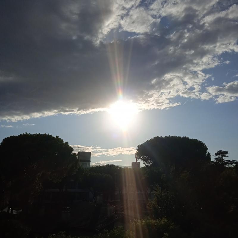 Fotosegnalazione di Lignano pineta