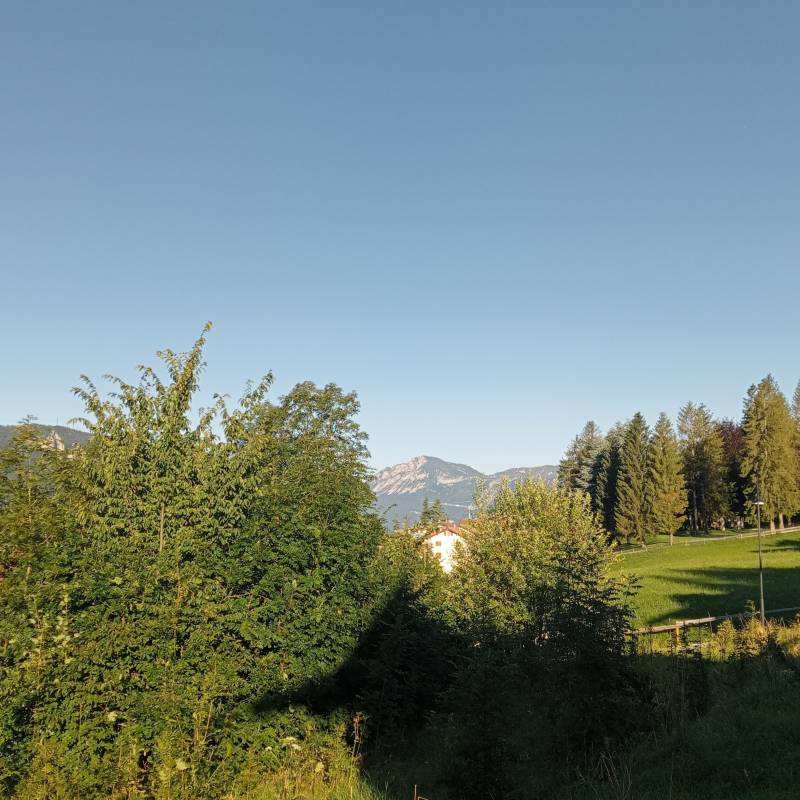 Cielo terso