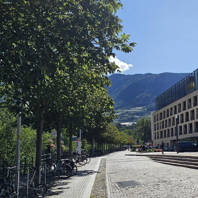 Fotosegnalazione di Merano