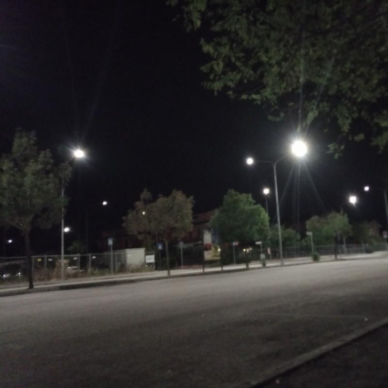 Fotosegnalazione di Bagnarola