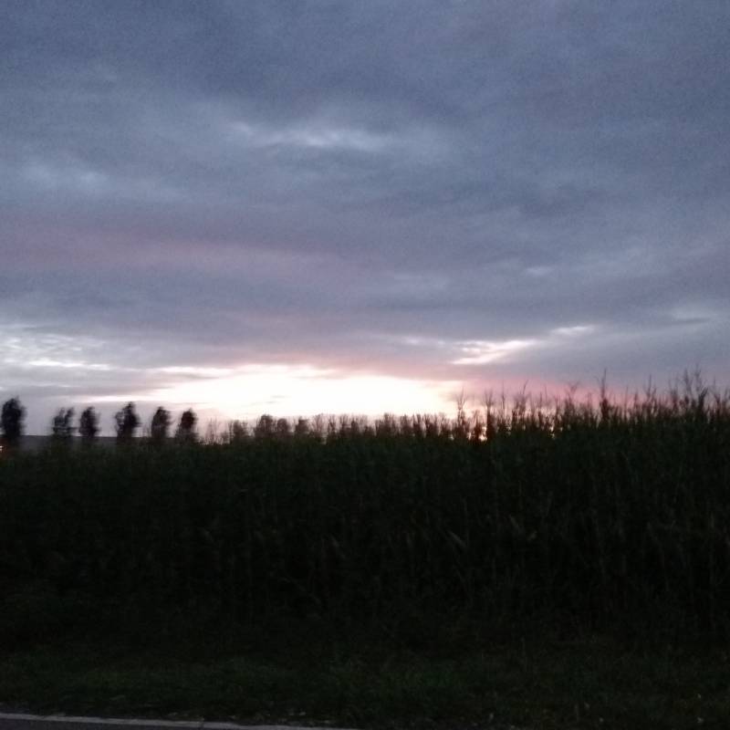 Fotosegnalazione di Pognano