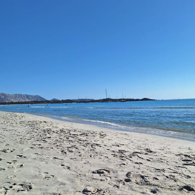 Fotosegnalazione di San teodoro-ss
