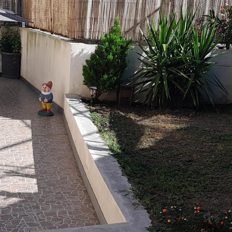 Angolazione of my garden 2023
