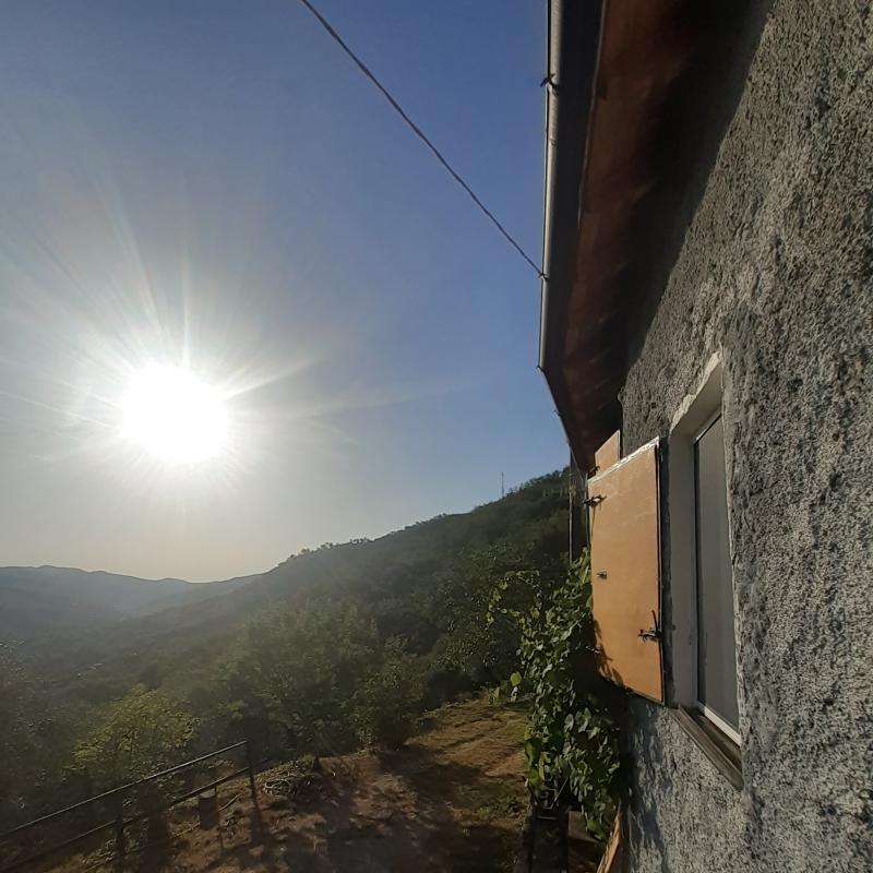 Fotosegnalazione di Stellanello