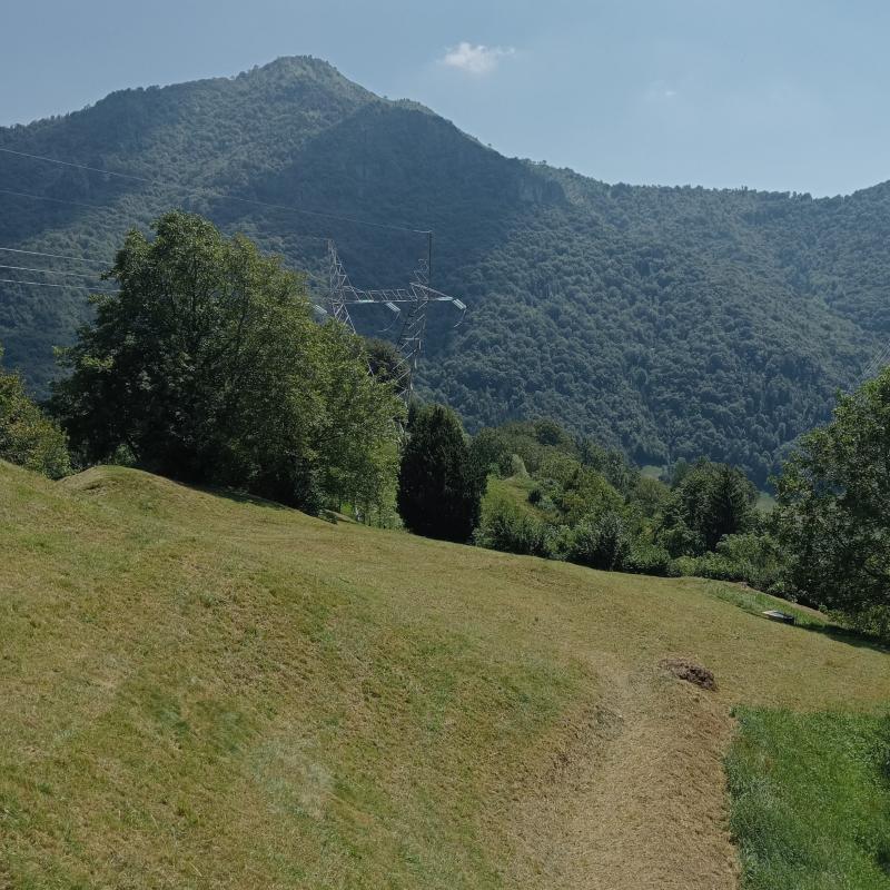 Fotosegnalazione di Dossena