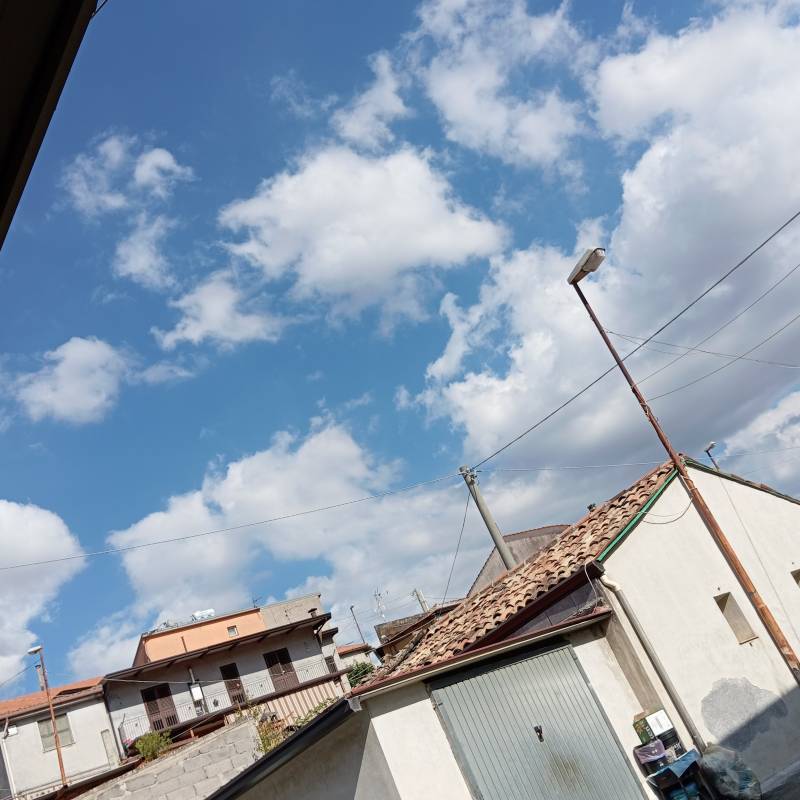 Fotosegnalazione di Maniace