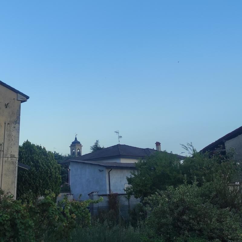 Fotosegnalazione di Zerbo