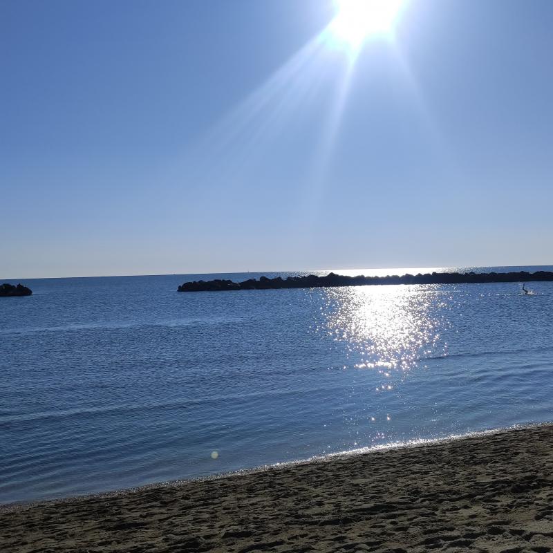Fotosegnalazione di Lido di savio