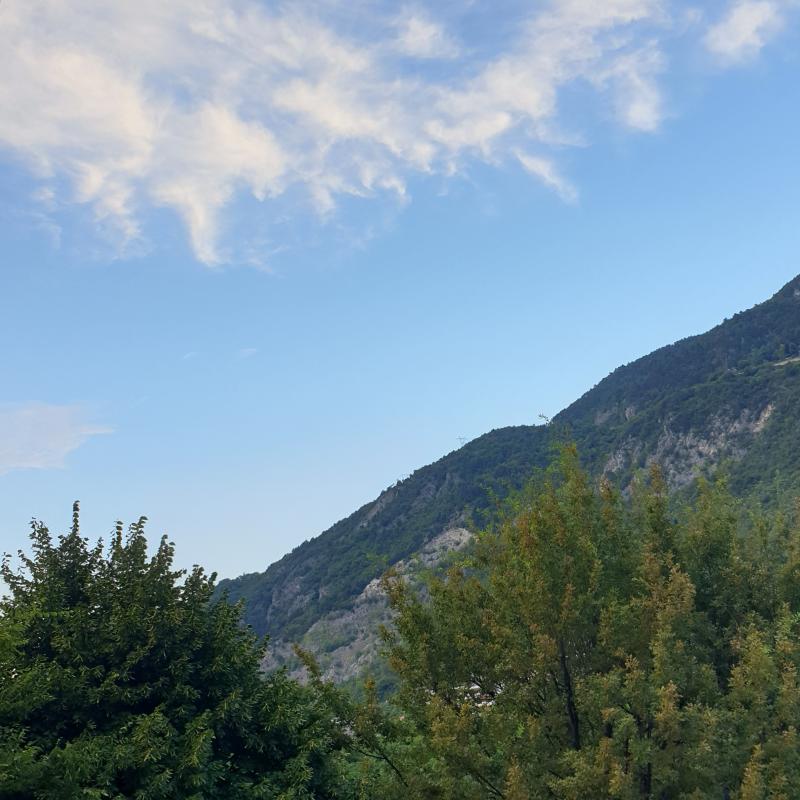 Fotosegnalazione di Trento centro