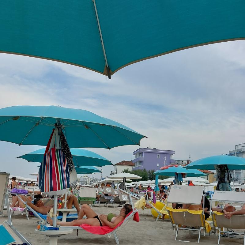 Fotosegnalazione di Bellaria igea marina