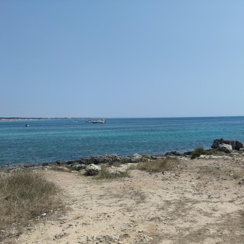 Fotosegnalazione di Porto cesareo